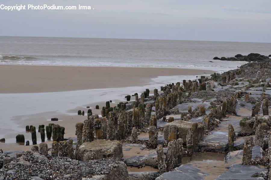 Coast, Outdoors, Sea, Water, Creek, River, Beach