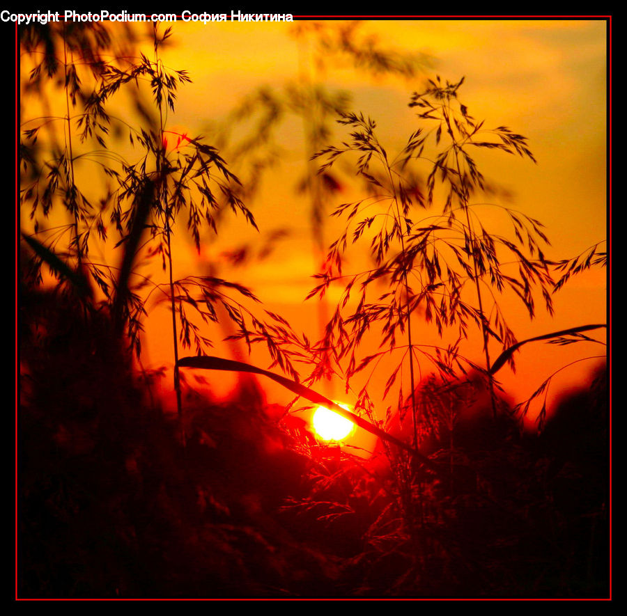 Dusk, Outdoors, Sky, Sunlight, Sunrise, Sunset, Dawn