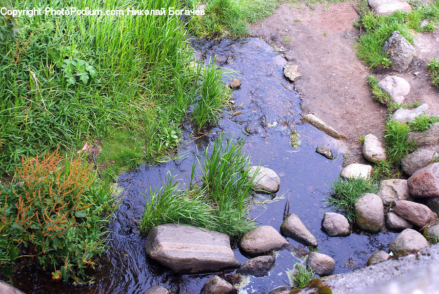 Outdoors, Pond, Water, Rock, Creek, River, Conifer