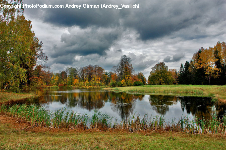 Lake, Outdoors, Water, Pond, Field, Grass, Grassland