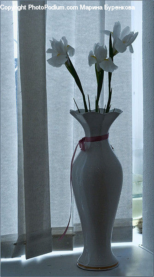Plant, Potted Plant, Jar, Porcelain, Vase, Flower Arrangement, Ikebana