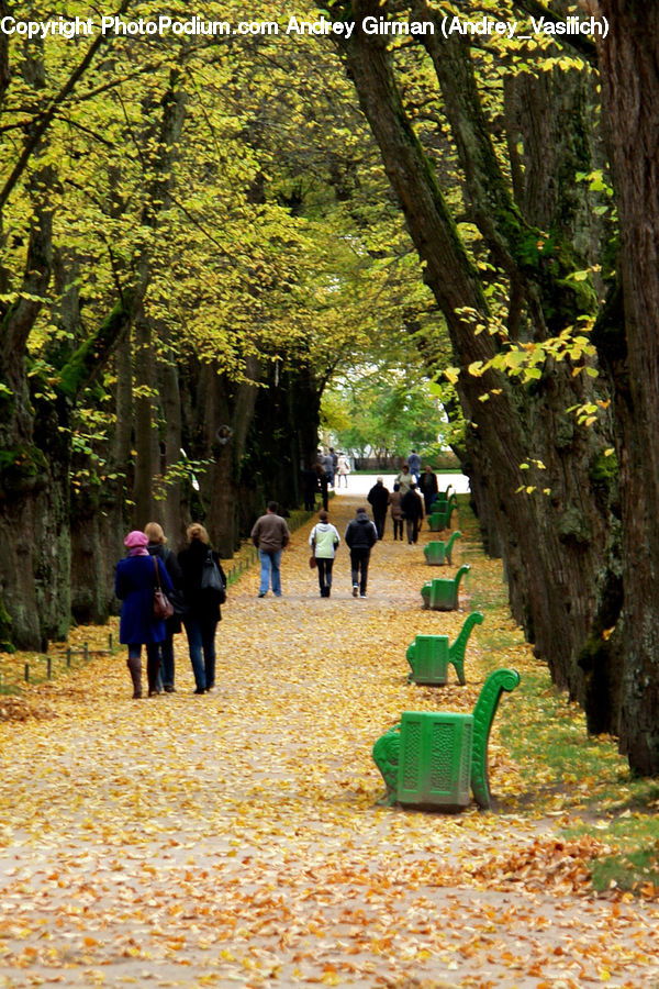 People, Person, Human, Leisure Activities, Walking, Chair, Furniture