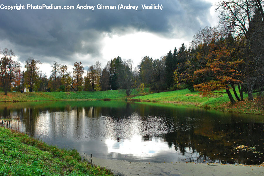 Outdoors, Pond, Water, Park, River, Field, Grass