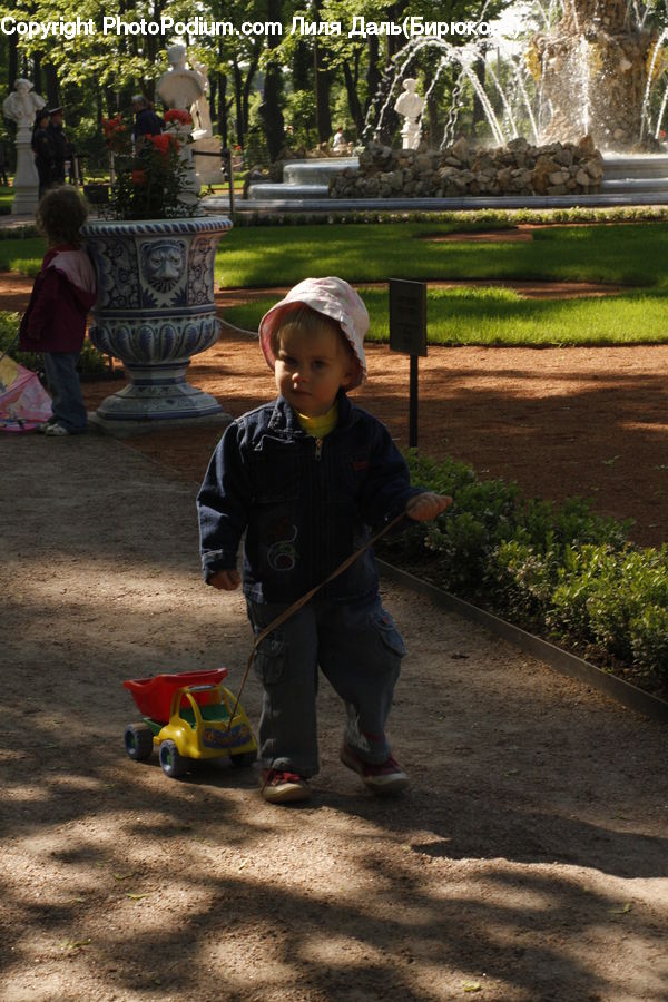 Human, People, Person, Plant, Potted Plant, Buggy, Carriage