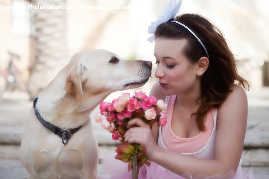 People, Person, Human, Flower, Flower Arrangement, Flower Bouquet, Animal