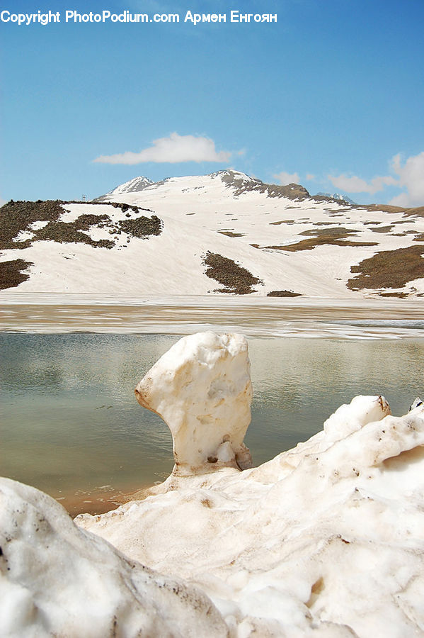 Animal, Bear, Mammal, Polar Bear, Arctic, Glacier, Ice