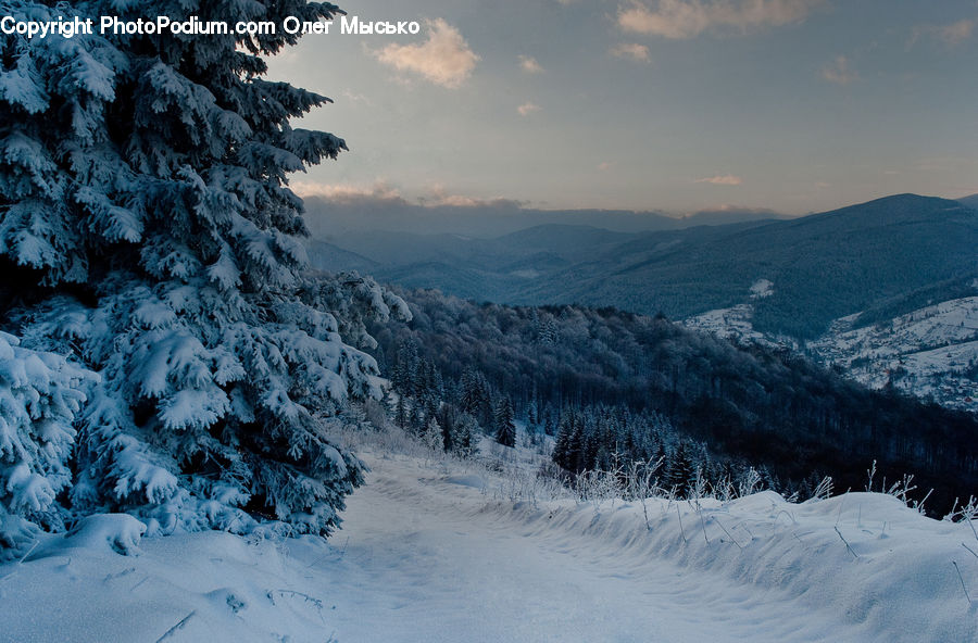 Arctic, Glacier, Ice, Mountain, Outdoors, Snow, Conifer