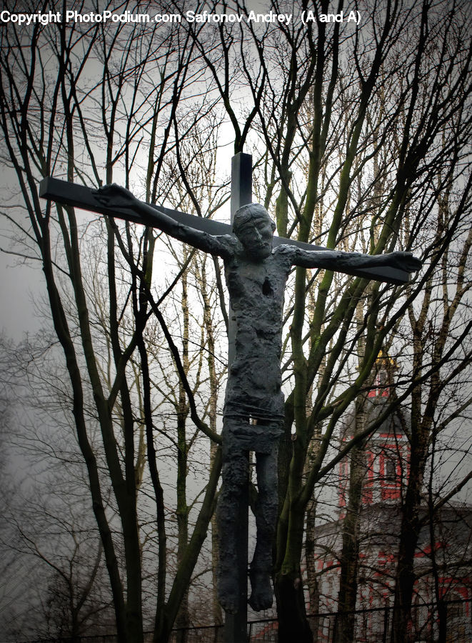 Plant, Tree, Cross, Crucifix, Birch, Wood, Art