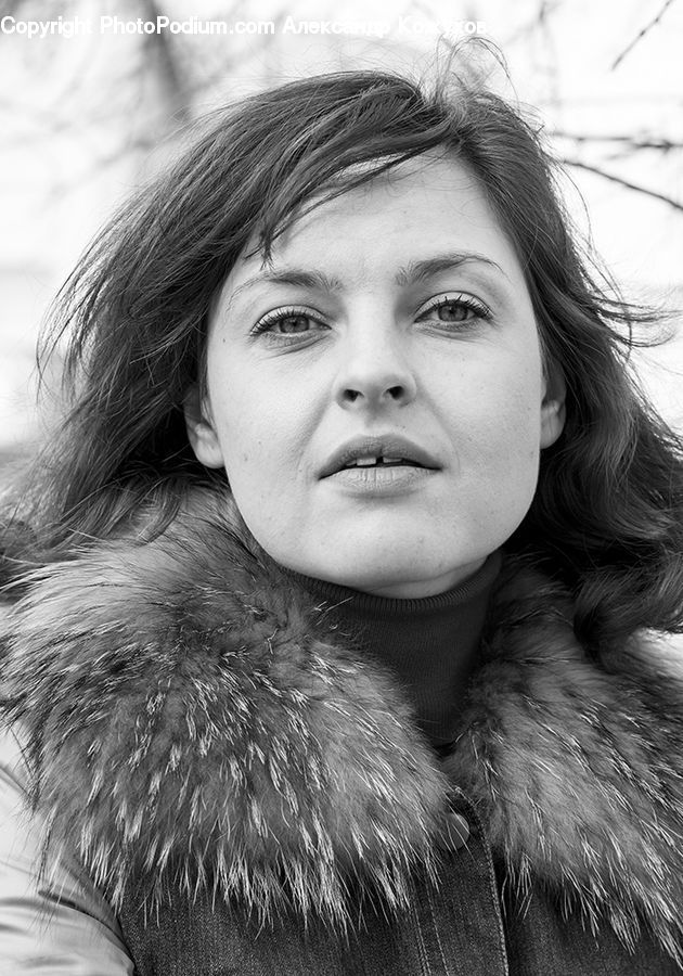 Human, People, Person, Portrait, Female, Face