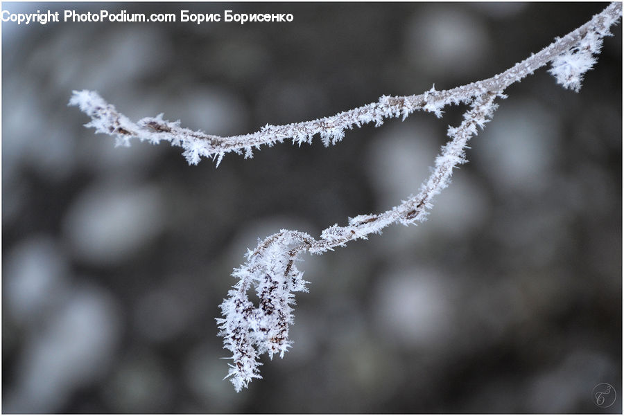 Frost, Ice, Outdoors, Snow, Droplet, Bling