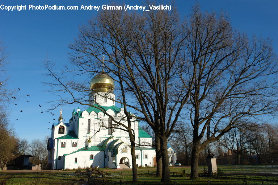 Architecture, Bell Tower, Clock Tower, Tower, Park, Church, Worship