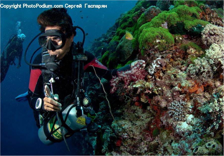Human, People, Person, Coral Reef, Outdoors, Reef, Sea