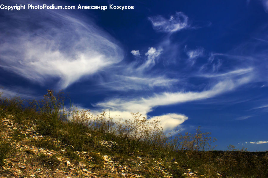 Azure Sky, Cloud, Outdoors, Sky, Cumulus, Field, Grass