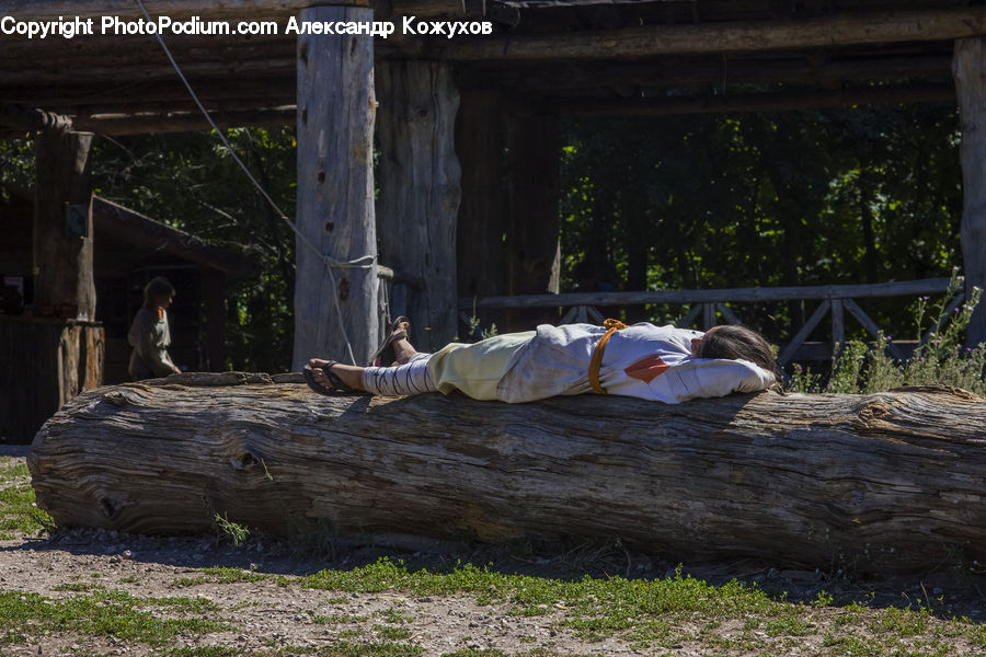 Plant, Potted Plant, Asleep, Outdoors, Forest, Vegetation, Alley