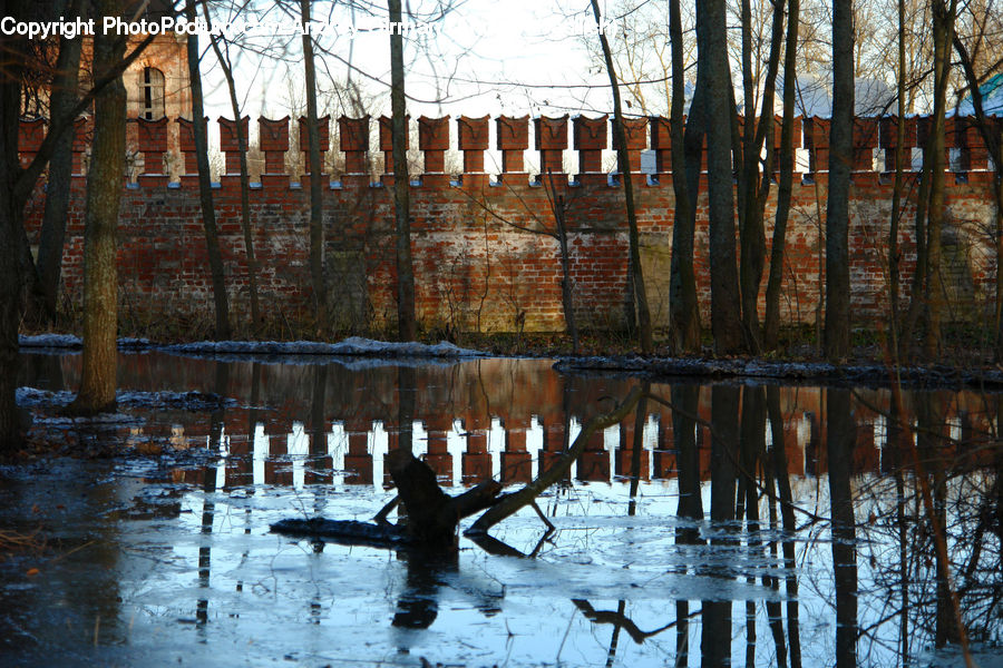 Land, Marsh, Outdoors, Swamp, Water, Brick, Birch