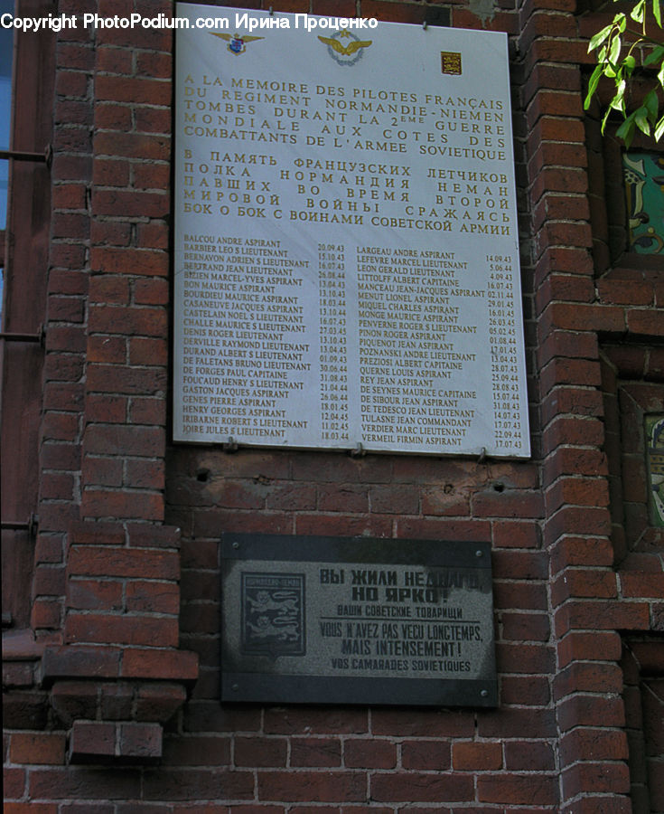 Brick, Plaque, Ivy, Plant, Vine, Rubble