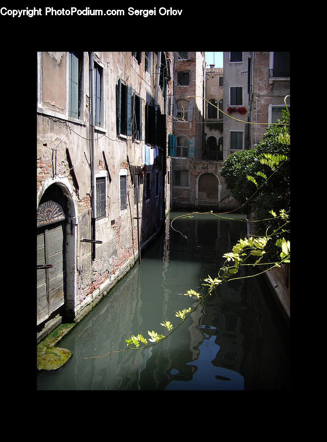 Plant, Potted Plant, Canal, Outdoors, River, Water, Castle
