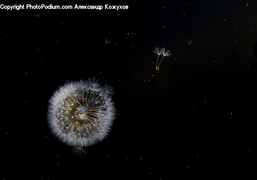 Astronomy, Outer Space, Space, Universe, Nebula, Fireworks, Night