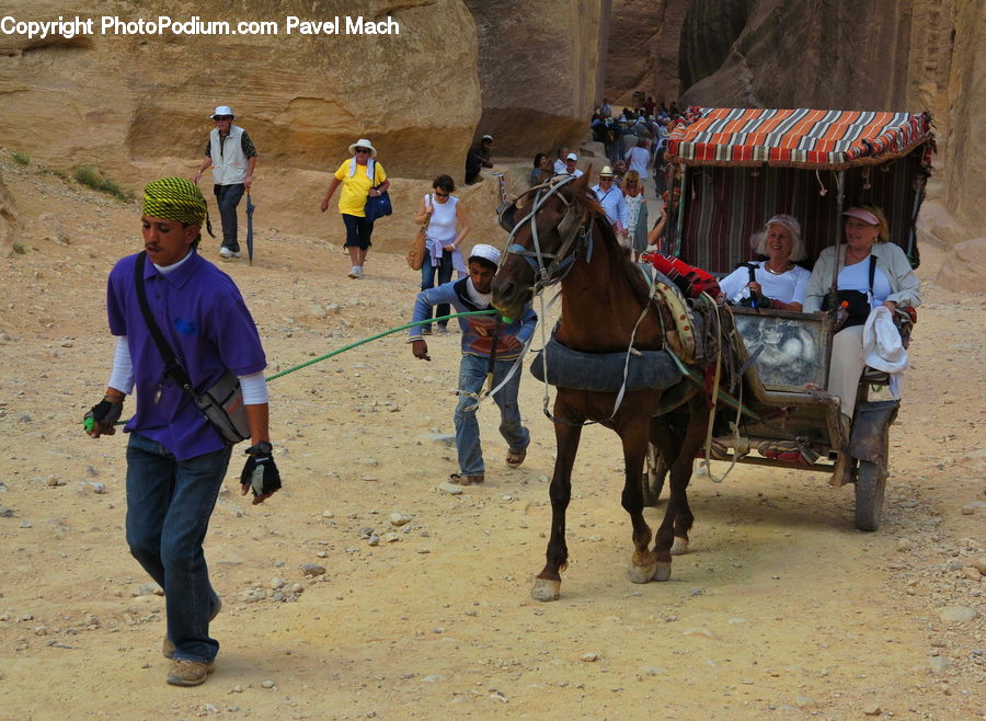 Human, People, Person, Animal, Horse, Mammal, Equestrian