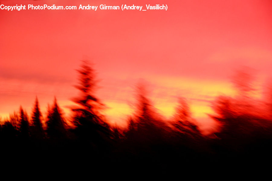 Dawn, Dusk, Red Sky, Sky, Sunrise, Sunset, Field