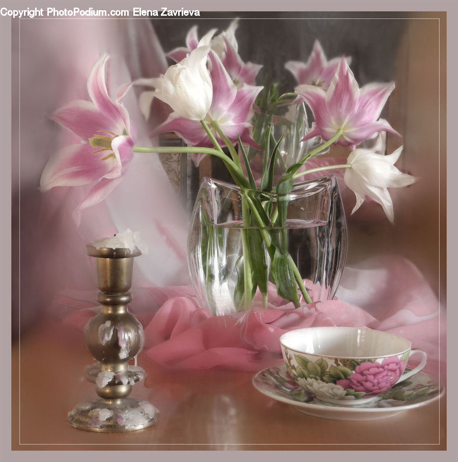 Cup, Glass, Goblet, Porcelain, Saucer, Blossom, Flower