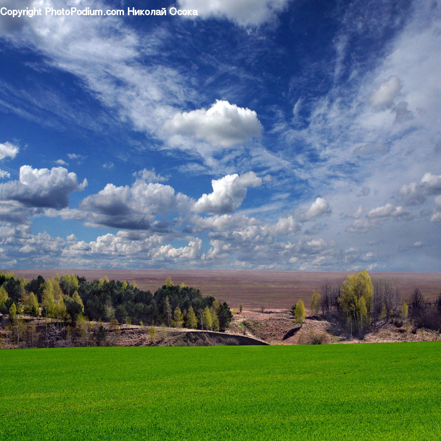 Field, Grass, Grassland, Land, Outdoors, Cloud, Cumulus