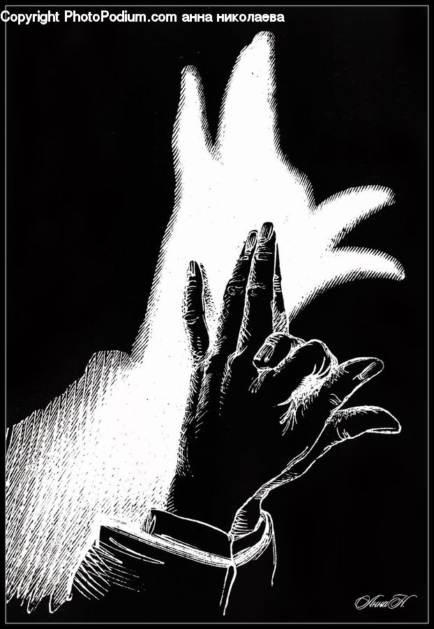 Silhouette, Brochure, Flyer, Poster, Text