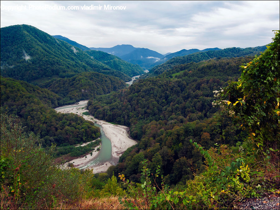 Ivy, Plant, Vine, Mountain, Outdoors, Valley, River