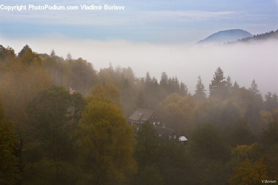 Fog, Mist, Outdoors, Building, Cottage, Housing, Dawn