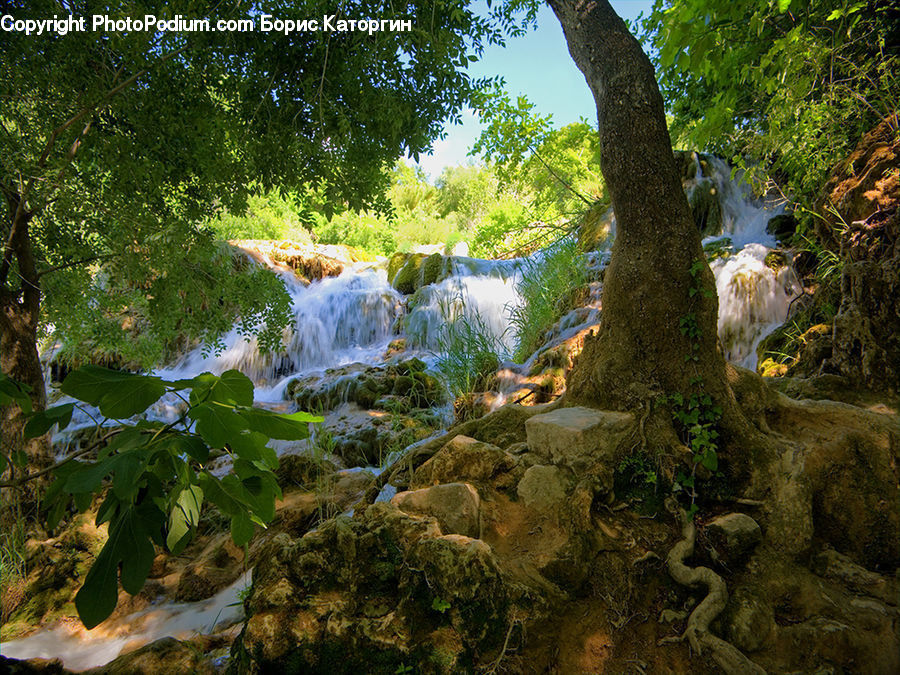 Outdoors, River, Water, Waterfall, Creek, Forest, Jungle