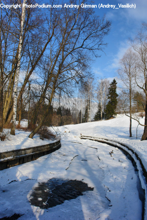 Landscape, Nature, Scenery, Ice, Outdoors, Snow, Forest