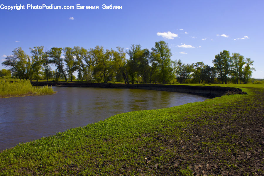 Outdoors, Pond, Water, Field, Grass, Grassland, Plant