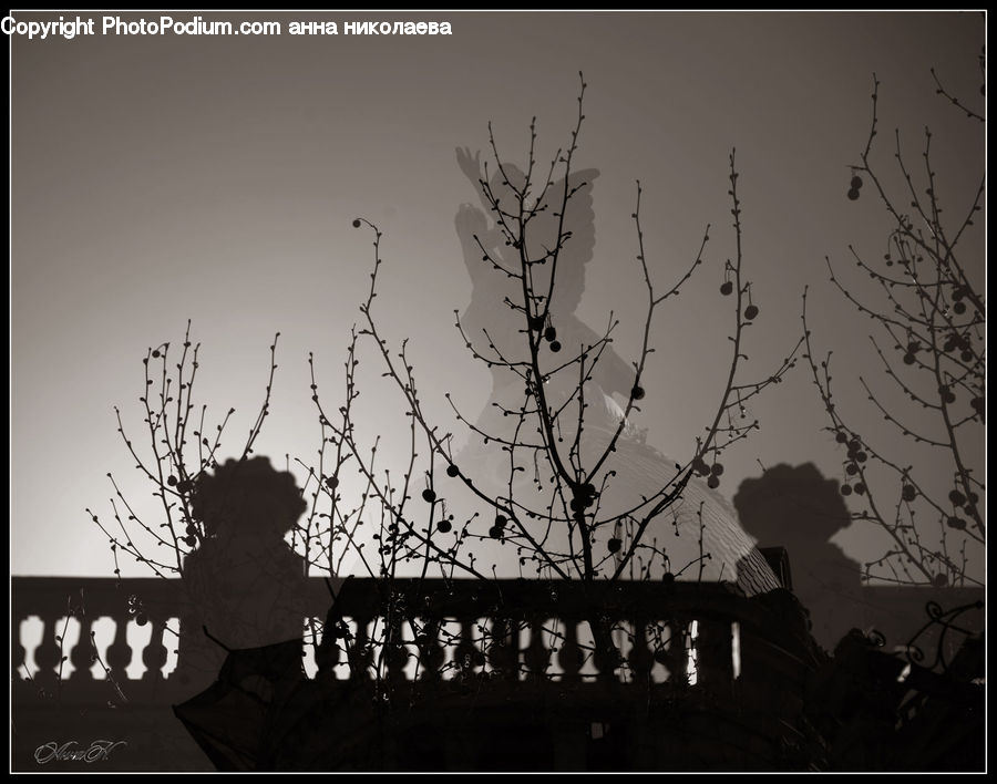 People, Person, Human, Silhouette, Plant, Tree, City