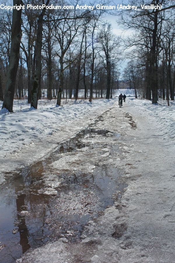 Dirt Road, Gravel, Road, Landscape, Nature, Scenery, Forest