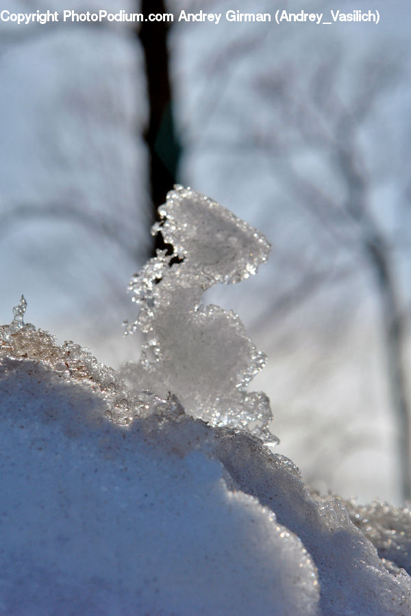 Frost, Ice, Outdoors, Snow