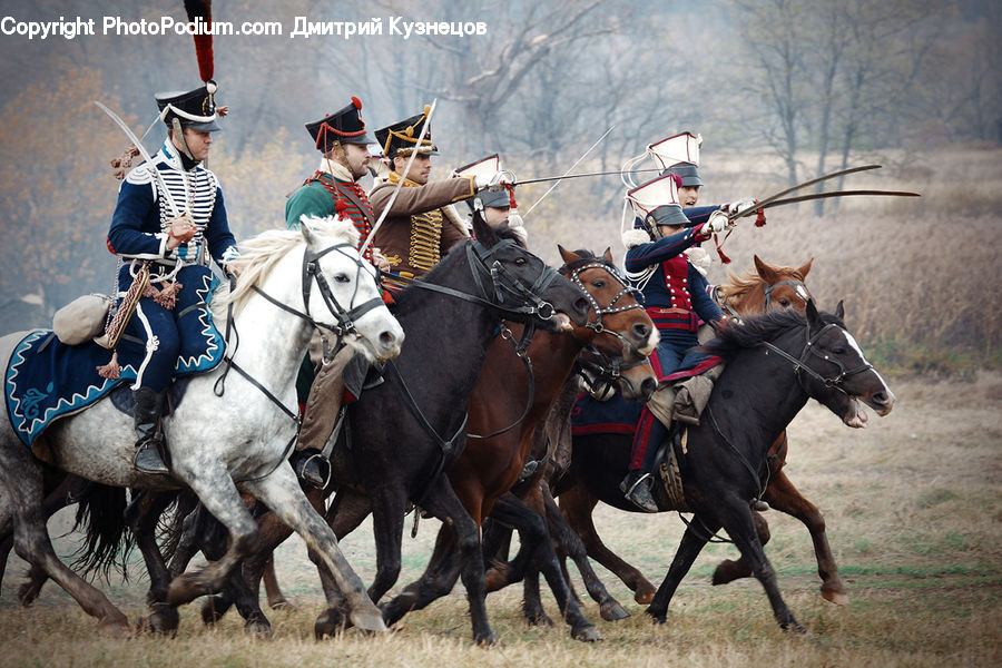 Animal, Horse, Mammal, Equestrian, Person, Rodeo, Team