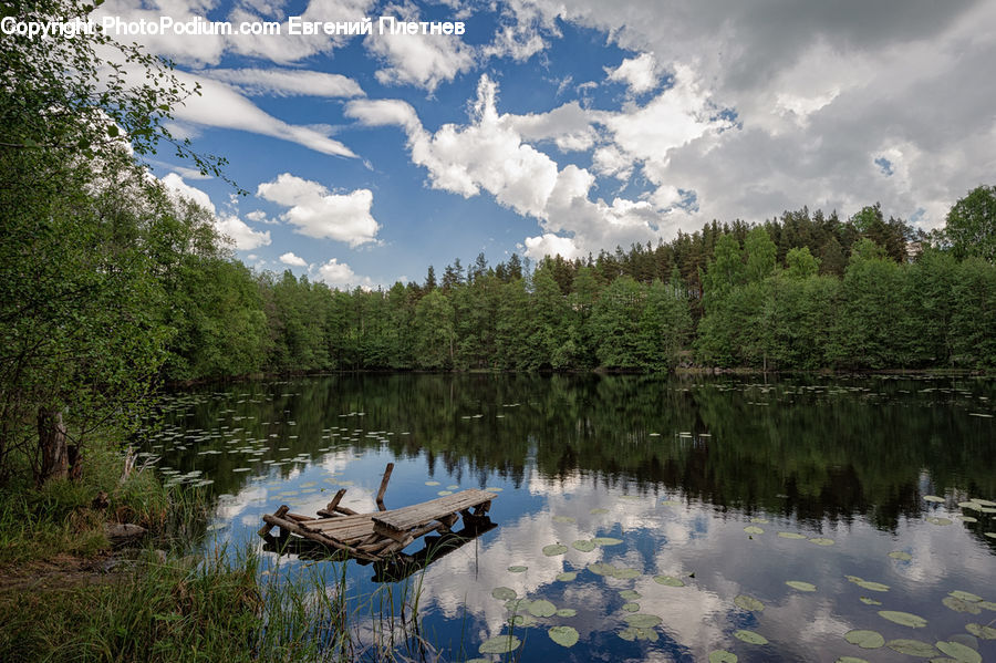 Outdoors, Pond, Water, Dock, Landing, Pier, Land