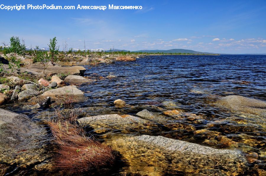 Rock, Coast, Outdoors, Sea, Water, River, Seaweed