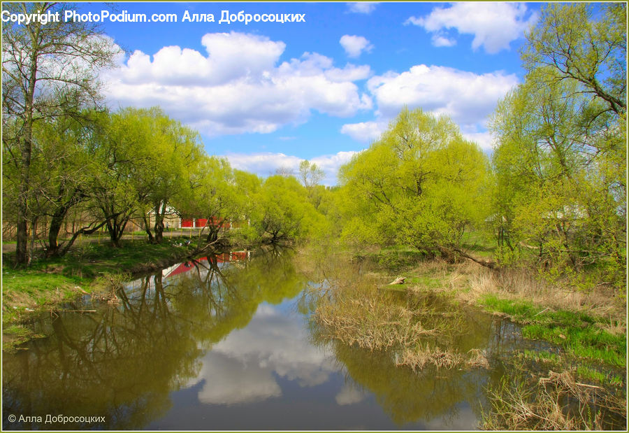 Outdoors, River, Water, Dirt Road, Gravel, Road, Land