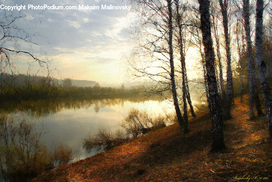 Dawn, Dusk, Sky, Sunrise, Sunset, Flood, Dirt Road