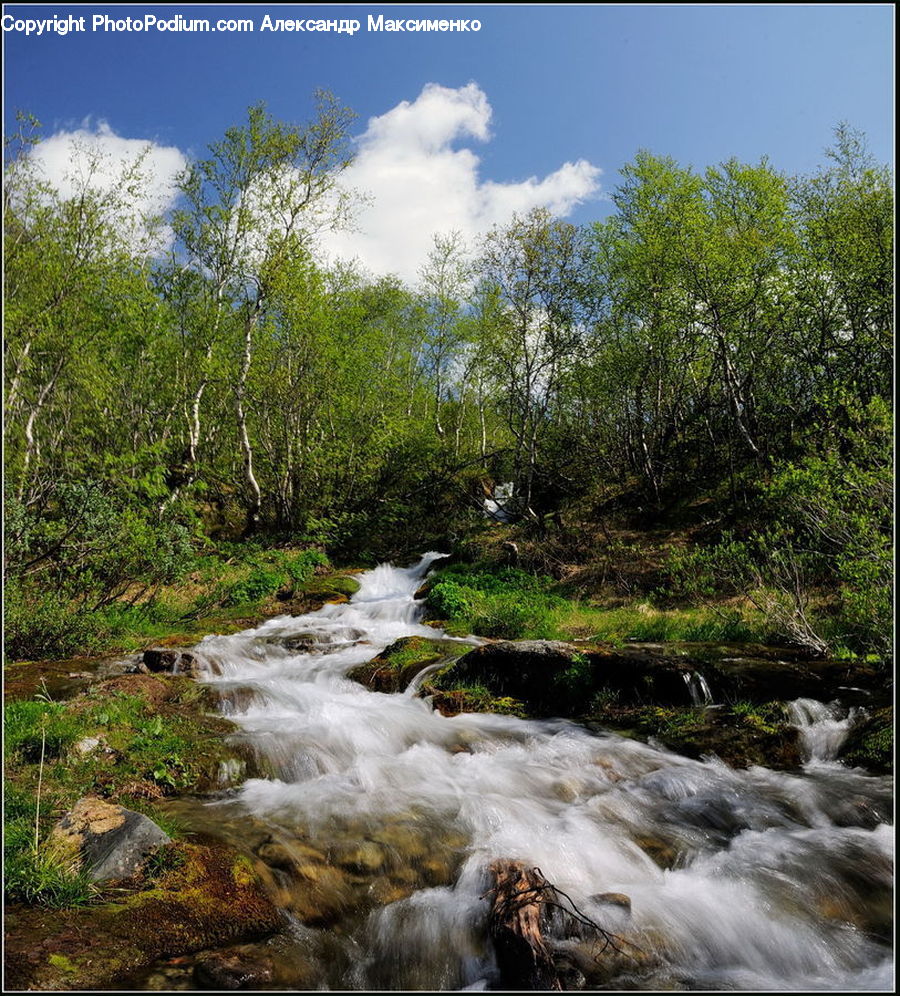 Creek, Outdoors, River, Water, Waterfall, Rock, Forest