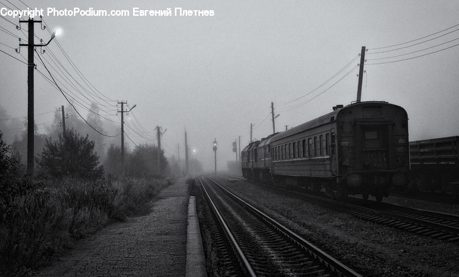 Rail, Train Track, Train, Vehicle, Transportation