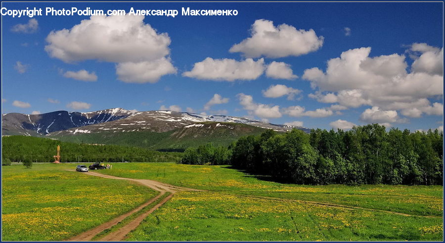 Cloud, Cumulus, Sky, Dirt Road, Gravel, Road, Field
