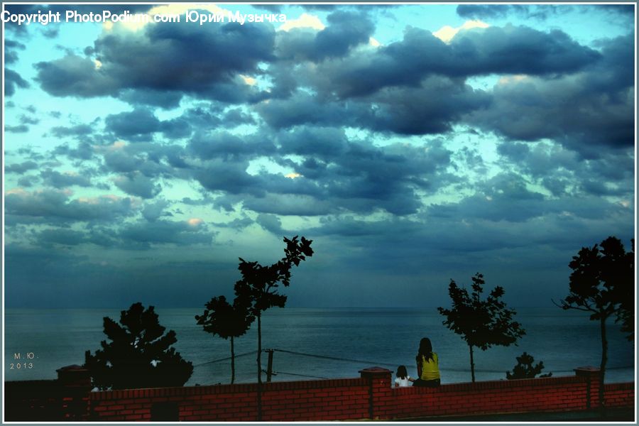 Azure Sky, Cloud, Outdoors, Sky, Cumulus, Plant, Tree