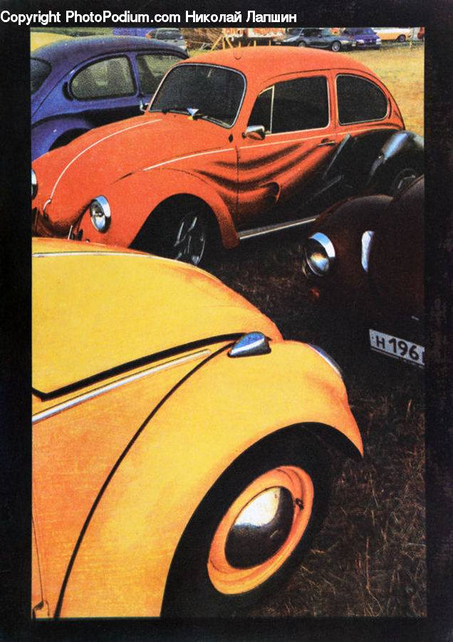 Automobile, Car, Vehicle, Brochure, Flyer, Paper, Poster