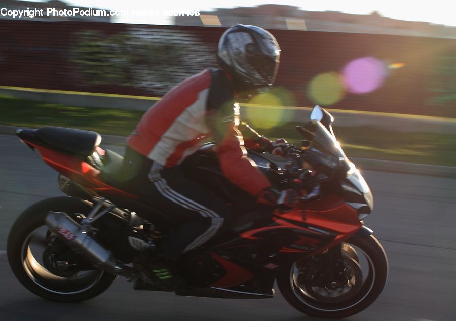 Head, Portrait, Motor, Motorcycle, Vehicle
