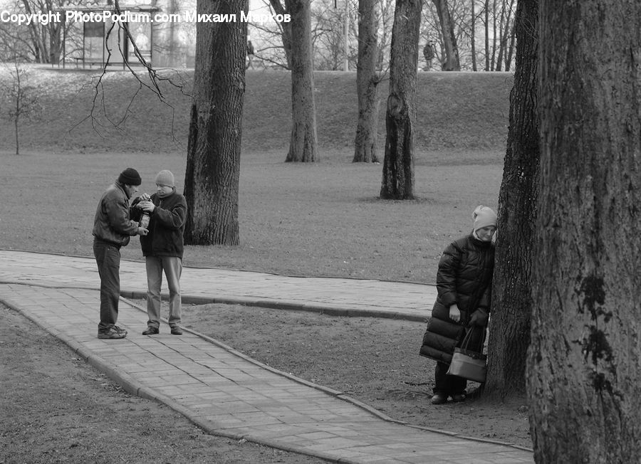 People, Person, Human, Bench, Photographer, Leisure Activities, Walking