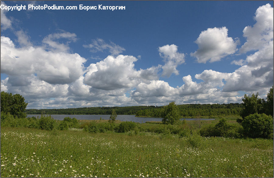 Field, Grass, Grassland, Land, Outdoors, Cloud, Cumulus