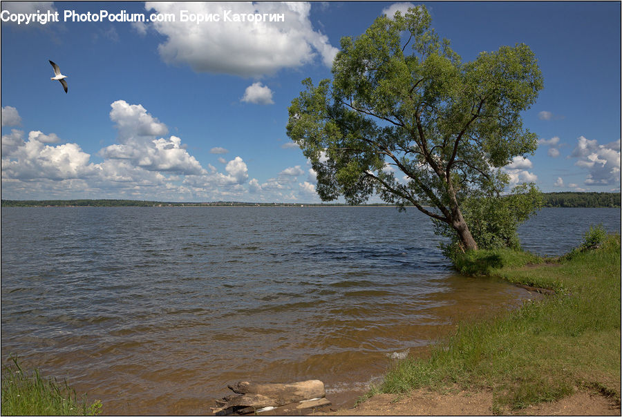 Beach, Coast, Outdoors, Sea, Water, Lake, Landscape