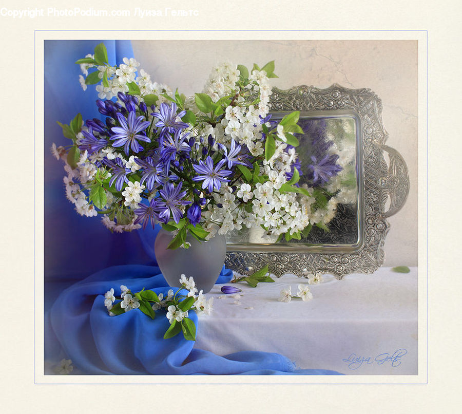 Blossom, Flower, Lilac, Plant, Flora, Flower Arrangement, Flower Bouquet